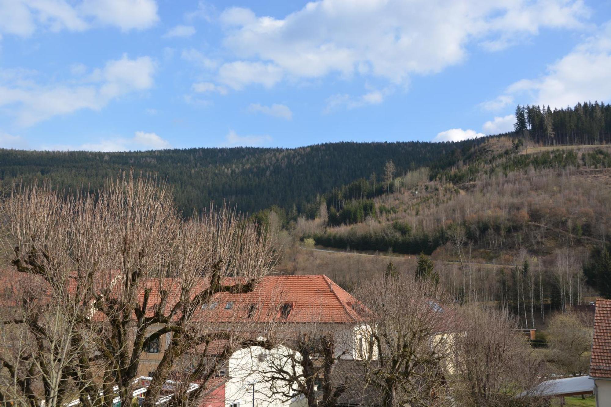 Kronenwirt Gurk Exteriér fotografie
