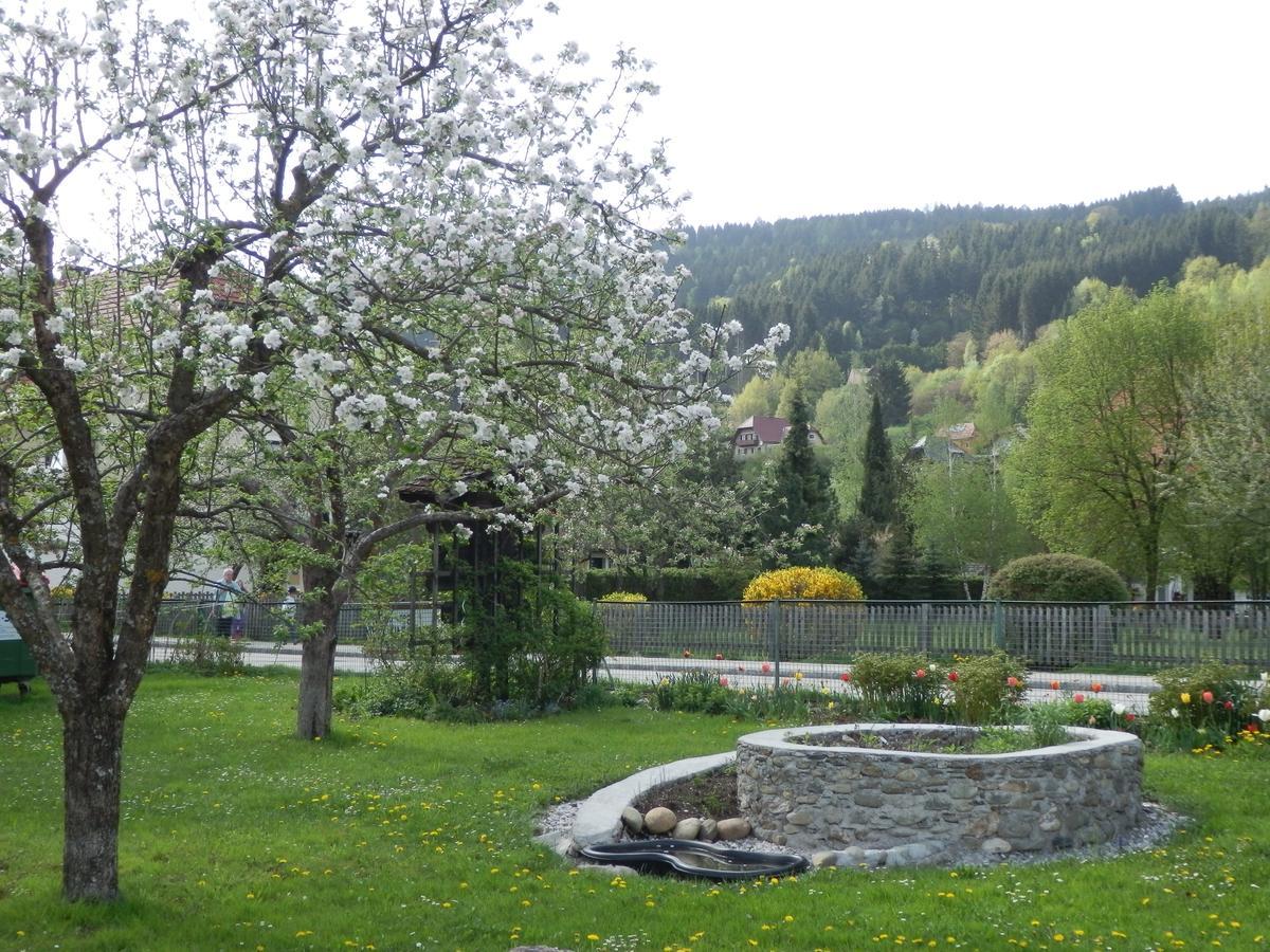 Kronenwirt Gurk Exteriér fotografie